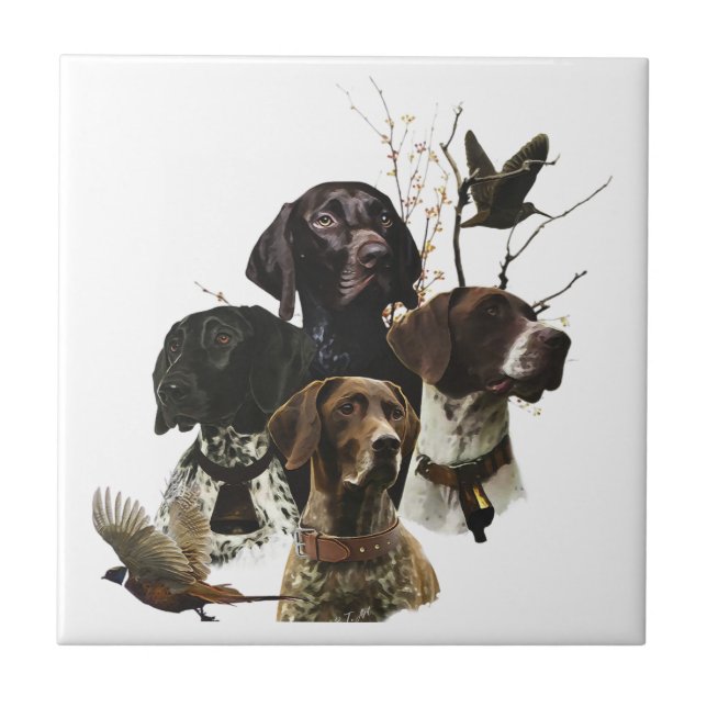 4 German Shorthaired Pointer Colours  Tile (Front)