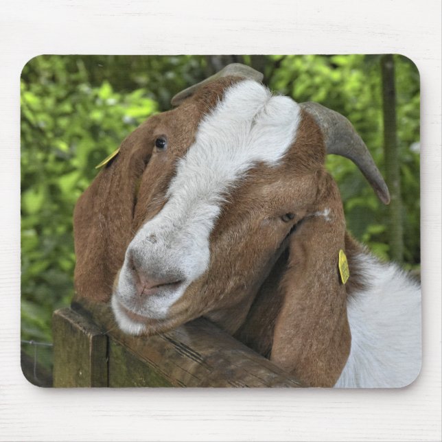 4-H Boer Goat Farm Mouse Mat (Front)