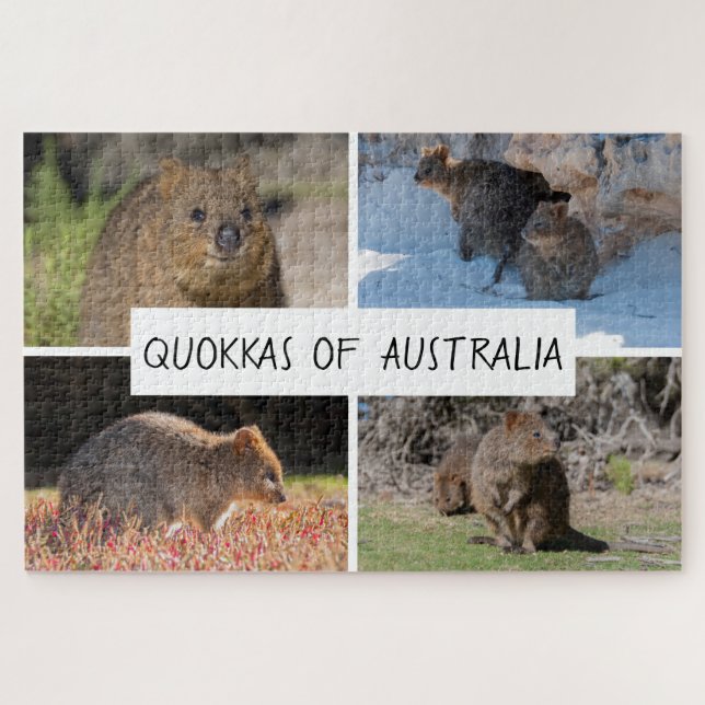 4-in-1 Quokka of Australia Animal, 1014 pieces Jigsaw Puzzle (Horizontal)