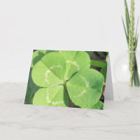 4 Leaf Clover Good Luck Charm