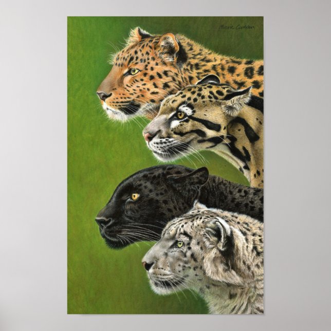 4 Leopards Poster (Front)