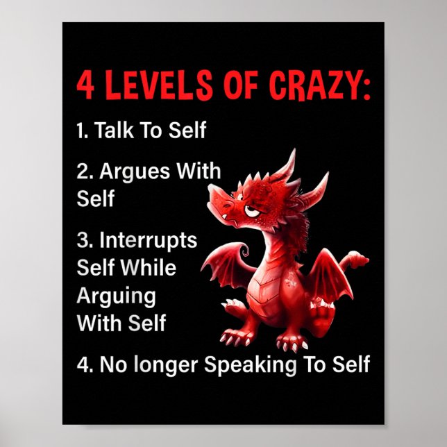 4 Levels Of Crazy Talks To Self Argues With Self D Poster (Front)