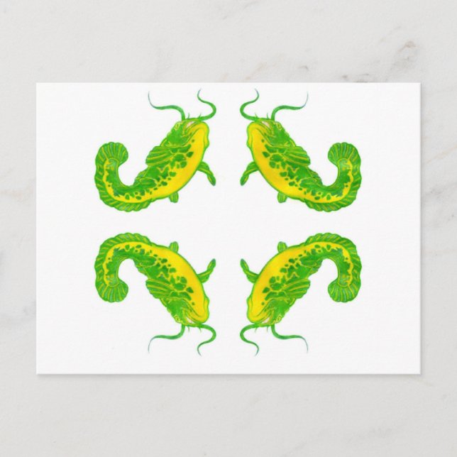 4 Lucky Fish Postcard (Front)