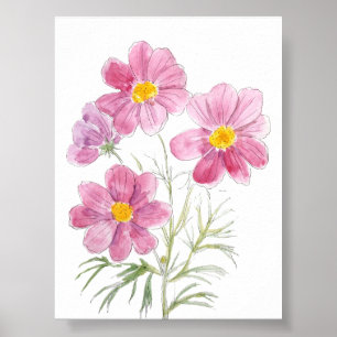 4 magenta cosmos flower ink and watercolor poster