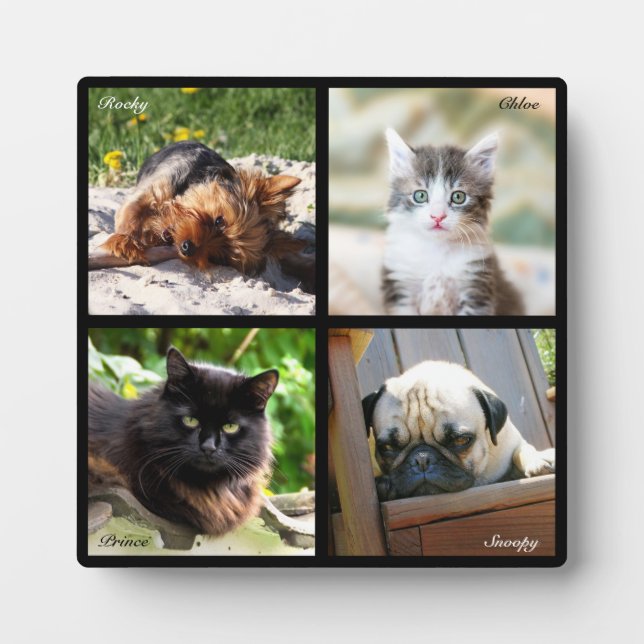 4 Pet Photo Collage Memorial on Black - Square Plaque (Front)