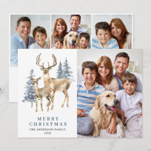 4 PHOTO Christmas Elegant Deer Pine Tree Holiday Card