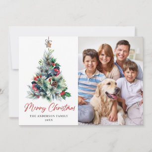 4 PHOTO Holly Berry Christmas Tree Greeting Holiday Card