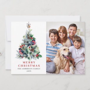 4 PHOTO Holly Berry Christmas Tree Greeting Holiday Card