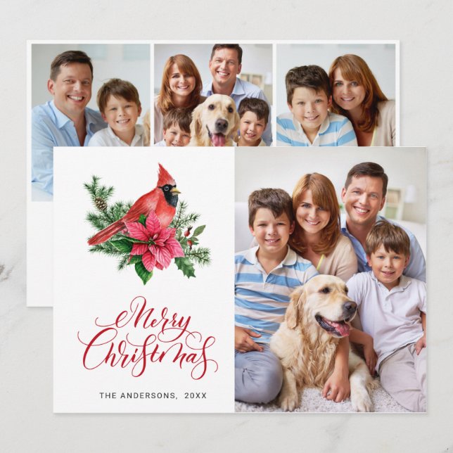4 PHOTO Poinsettia Red Cardinal Christmas Greeting Holiday Card (Front/Back)