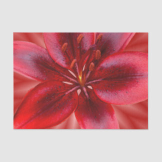 4 Sizes of Tissue Gift Paper - Asiatic Lily
