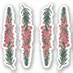 4 Sprigs of Cornish Heath (Erica vagans) - Contour