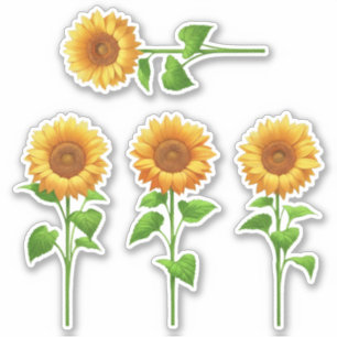 4 Sunflower Stickers (bright)