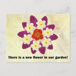 4 There is a new flower in our garden Postcard