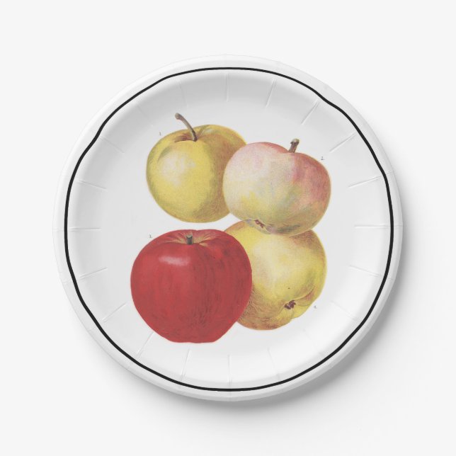 4 vintage apples illustrated paper plate (Front)