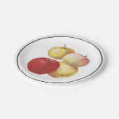 4 vintage apples illustrated paper plate (Angled)