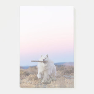 4"x6" Post-it Notes - Branch Manager