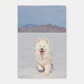 4"x6" Post-it Notes - Salt Flats