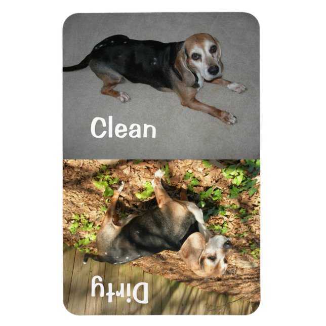 4" x 6" Clean/Dirty Beagle Photo Dishwasher Magnet (Vertical)