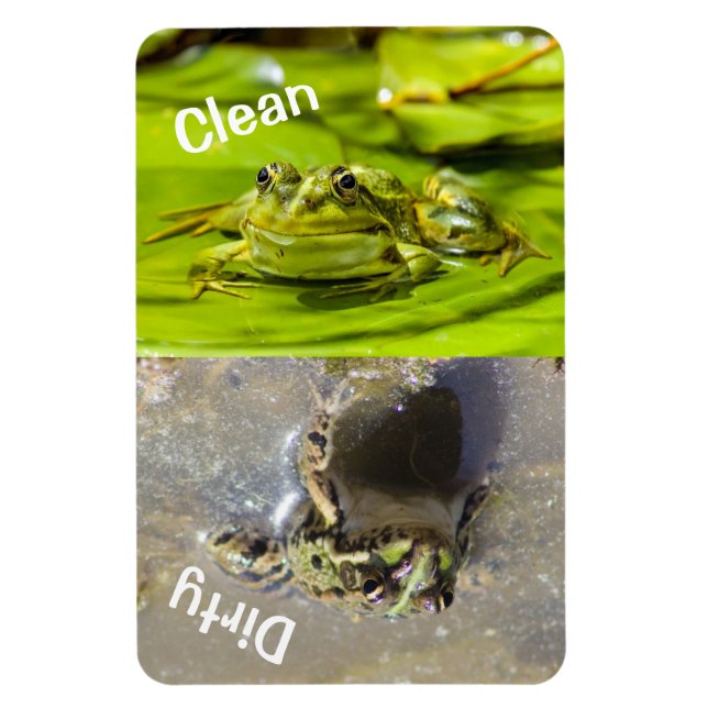 4" x 6" Clean/Dirty Frog Photo Dishwasher Magnet (Vertical)