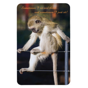 4 x 6 Fridge Magnet with Monkey and Slogan