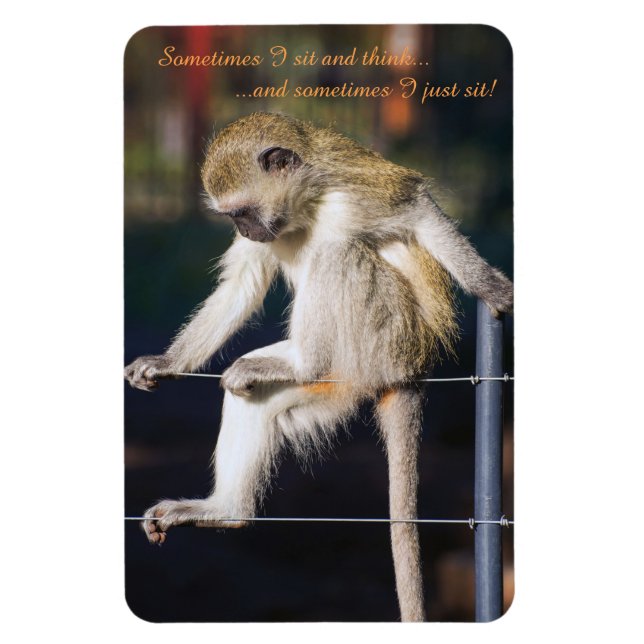 4 x 6 Fridge Magnet with Monkey and Slogan (Vertical)