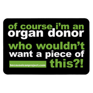 4 x 6 magnet - for your fridge or car!