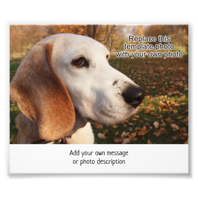 4 x 6 photo print w area to add image description (Front)