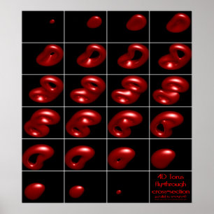 4d torus fly-through cross-section poster