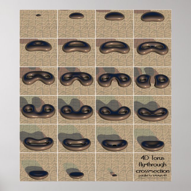 4D torus fly-through cross-section Poster (Front)