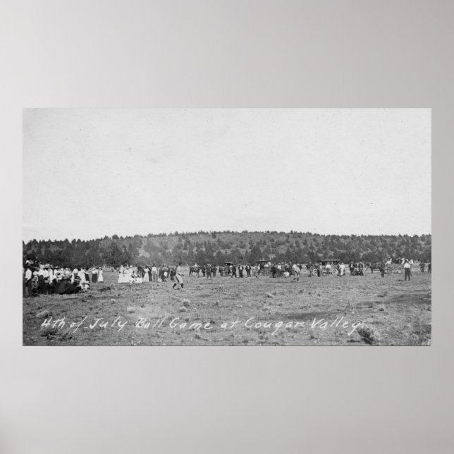 4th of July Baseball Game Poster (Front)