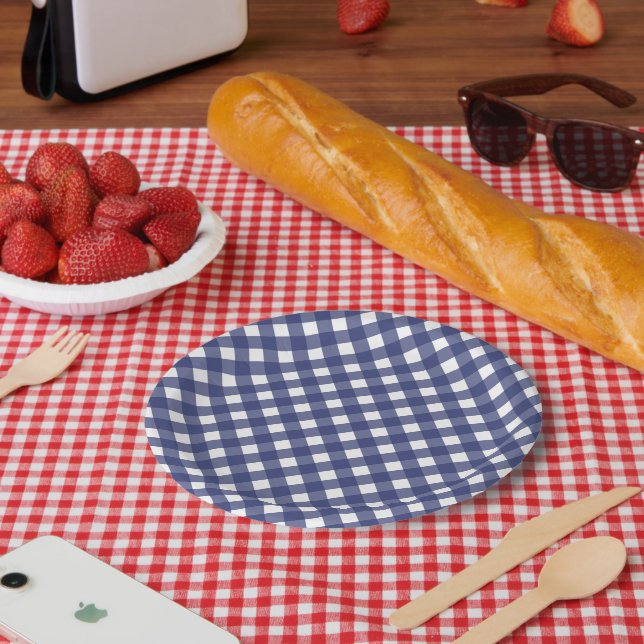 4th Of July Blue White Checks Party Paper Plates (Picnic)