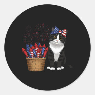 4th Of July Cat And Fireworks Design For Men Women Classic Round Sticker