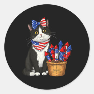 4th Of July Cat And Fireworks Design For Men Women Classic Round Sticker
