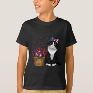 4th Of July Cat And Fireworks Design For Men Women T-Shirt