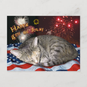 4th of July Cat and Fireworks Postcard