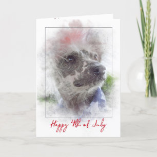 4th of July-Chinese Crested Hairless dog Card