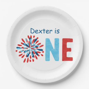 4th of July First Birthday  Paper Plate