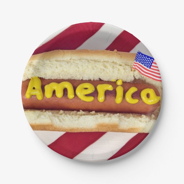 4th of July Hot Dog Party Paper Plate (Front)