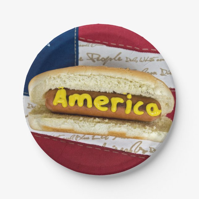 4th of July Hot Dog Party Paper Plate (Front)
