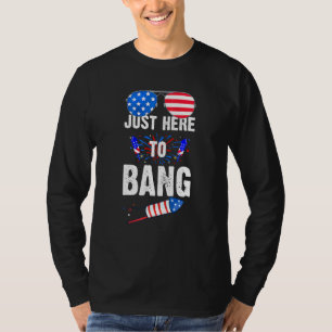 4th Of July Im Just Here To Bang American Flag Sun T-Shirt