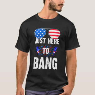 4th Of July Im Just Here To Bang American Flag Sun T-Shirt