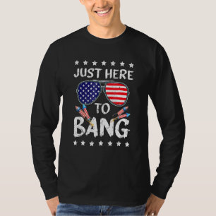 4th Of July Im Just Here To Bang Usa Flag Sunglass T-Shirt