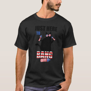 4th Of July Just Here To Bang Cat Sunglasses Usa F T-Shirt