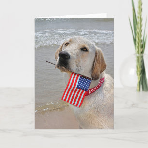 4th of July Labrador Retriever with Flag Holiday C