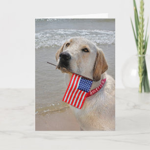 4th of July Labrador Retriever with Flag Holiday C Card