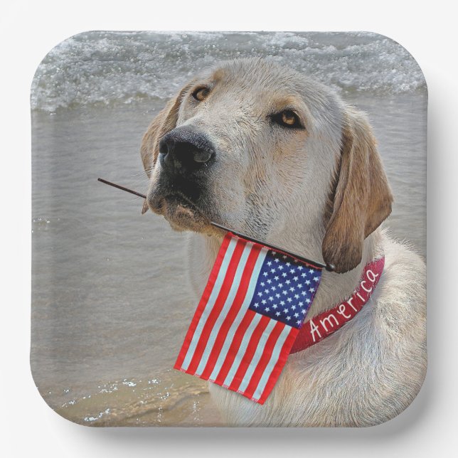 4th of July Labrador Retriever with Flag  Paper Plate (Front)