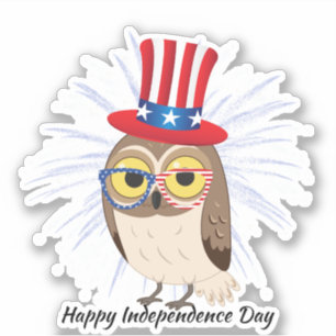 4th Of July owl Independant Day USA Flag Glass