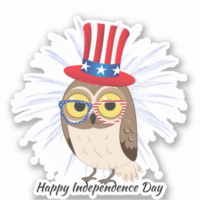 4th Of July owl Independant Day USA Flag Glass (Front)