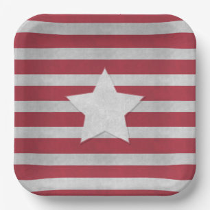  4th of July  Paper Plate