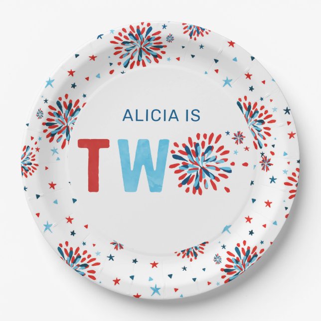 4th of July Second Birthday  Paper Plate (Front)